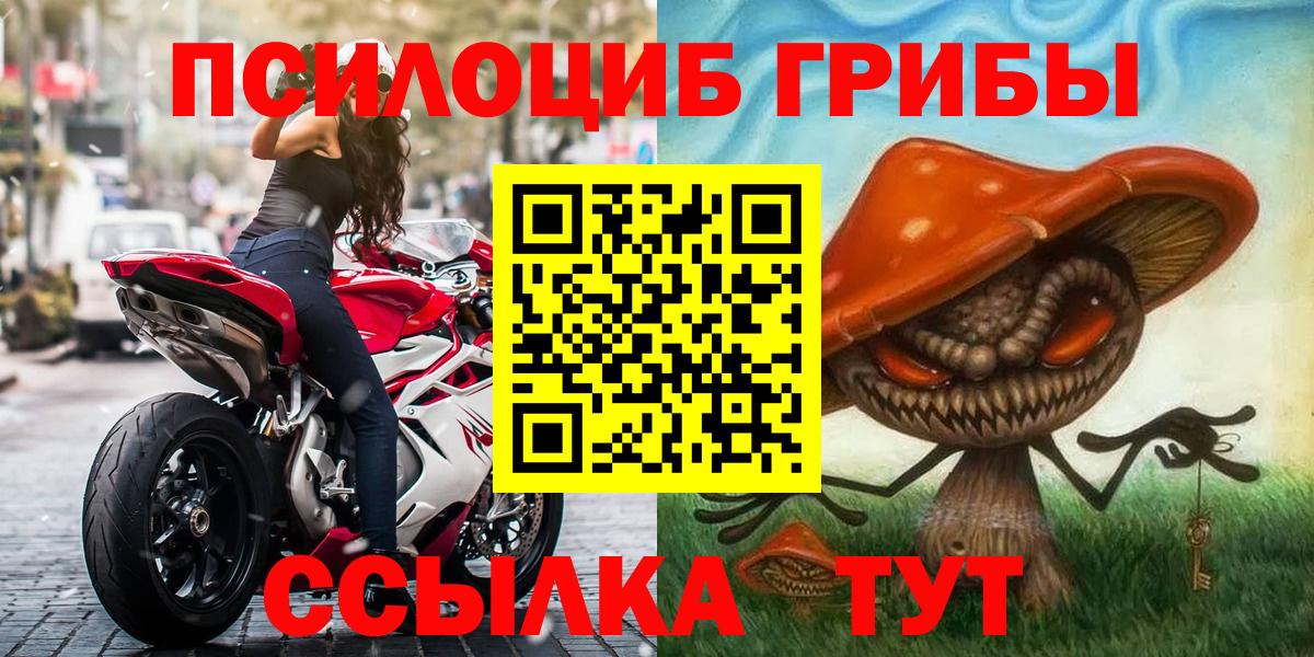 Галлюциногенные грибы мицелий  Галлюциногенные грибы прущие грибы  Карпинск  Вход с VPN 
