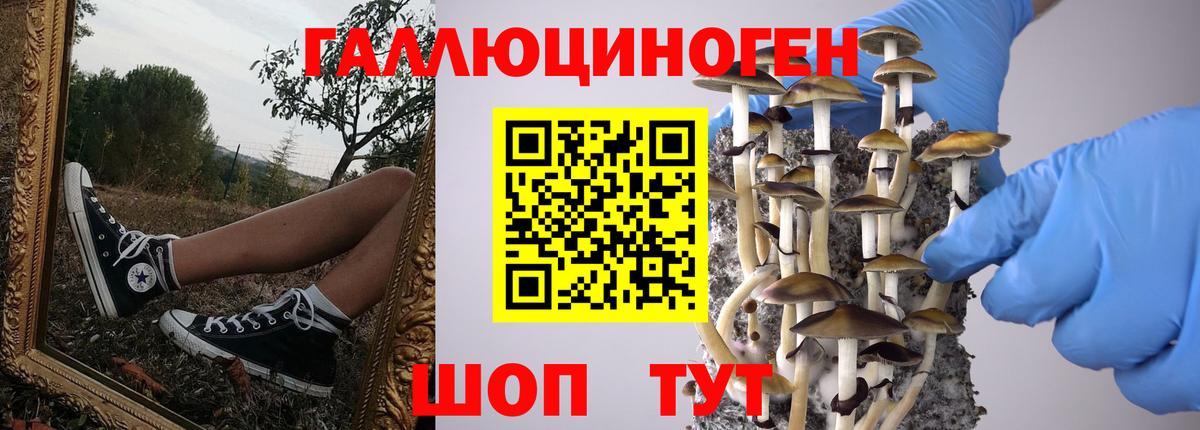 Галлюциногенные грибы мицелий Карпинск
